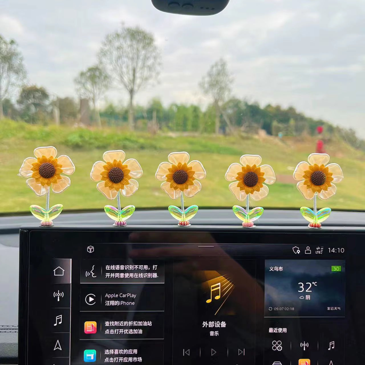 Creative Car Ornaments