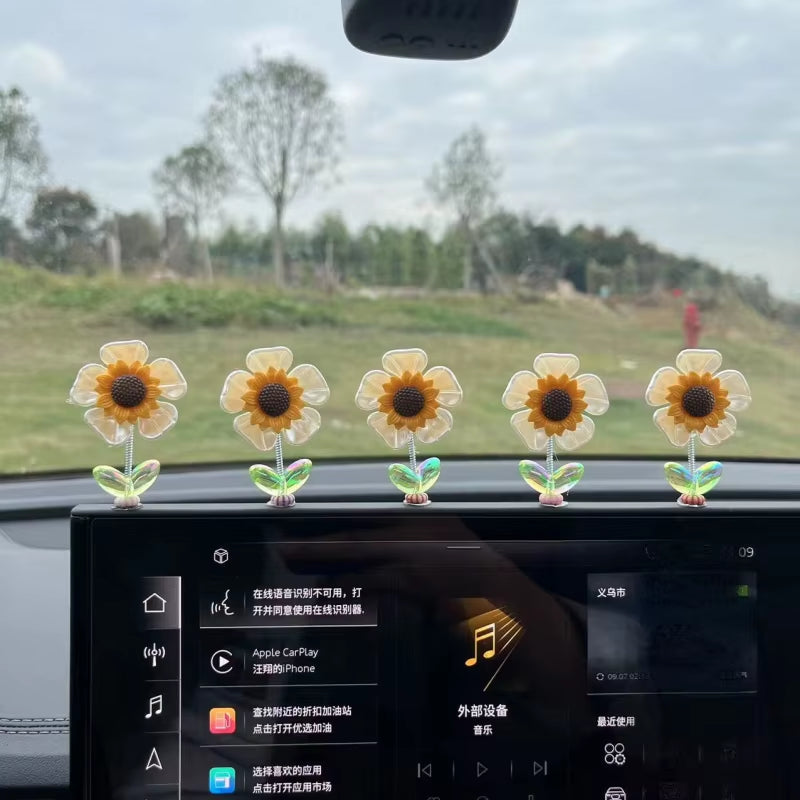 Creative Car Ornaments